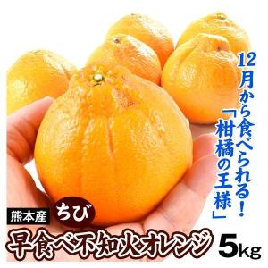 みかん 不知火オレンジ 熊本産 早食べちび不知火オレンジ　5kg　12月に食べられる 送料無料 食品 国華園｜seikaokoku