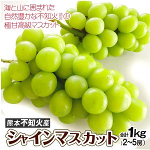 ぶどう シャインマスカット熊本不知火産 合計1kg（2〜5房）ご家庭用 送料無料 食品 国華園｜seikaokoku