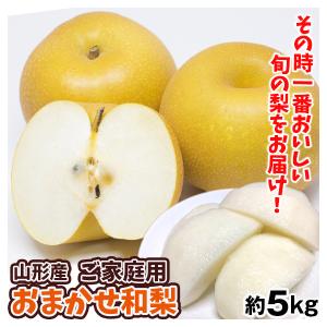 梨 約5kg おまかせ和梨 山形産 ご家庭用 送料無料 食品
