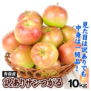 りんご 10kg 青森産 ご家庭用 サンつがる 訳あり 送料無料 林檎 フルーツ食品 国華園｜seikaokoku