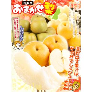 梨 約2kg ご家庭用 おまかせ和梨 熊本産 ...の詳細画像2
