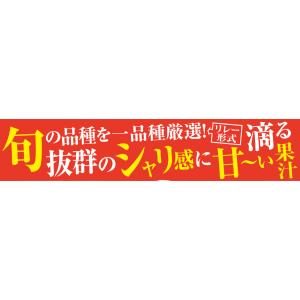 梨 約2kg ご家庭用 おまかせ和梨 熊本産 ...の詳細画像1