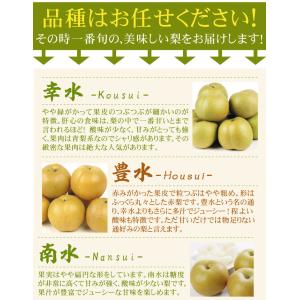 梨 約2kg ご家庭用 おまかせ和梨 熊本産 ...の詳細画像4