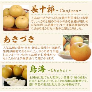 梨 約2kg ご家庭用 おまかせ和梨 熊本産 ...の詳細画像5