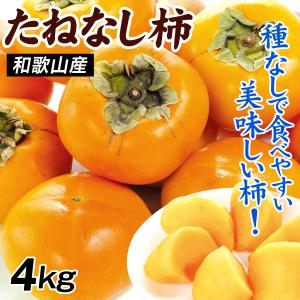 メロン 高知産 仁淀ブルー 2玉 奇跡の清流 仁淀川の伏流水が育んだ