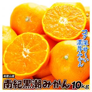 みかん 10kg 和歌山産 南紀黒潮みかん 蜜柑 温州 ご家庭用 送料無料 食品