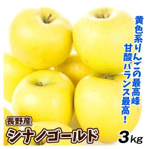 りんご 3kg (1.5kg×2箱) 長野産 シナノゴールド ご家庭用 送料無料 食品｜seikaokoku