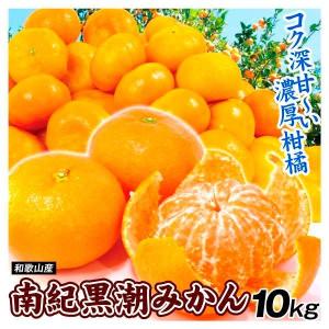 みかん 和歌山産 ご家庭用 南紀黒潮みかん 10kg 送料無料 食品