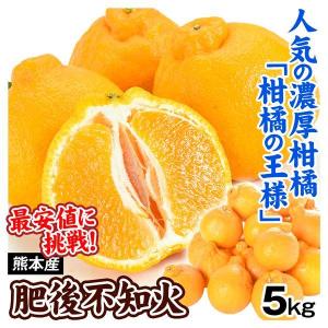 みかん 熊本産 ご家庭用 肥後不知火 5kg デコポンと同じ品種 送料無料 食品