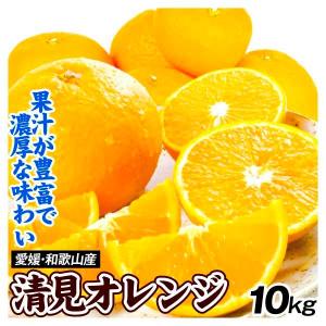 みかん 10kg 愛媛・和歌山産 清見オレンジ ご家庭用 送料無料 食品