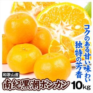 みかん 10kg 和歌山産 南紀黒潮 ポンカン 柑橘 オレンジ ご家庭用 送料無料 食品