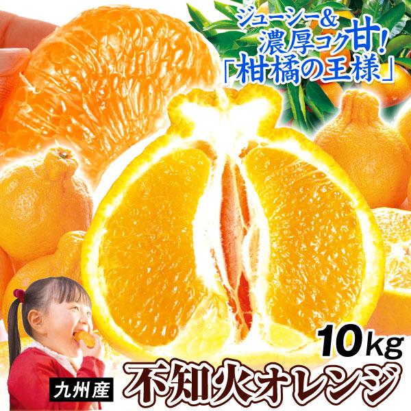みかん 10kg 不知火オレンジ 九州産 大特価 不知火 デコ 蜜柑 柑橘 果物 フルーツ 送料無料...