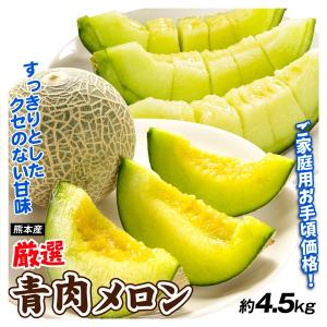 メロン 約4.5kg  厳選 青肉メロン 熊本産 品種おまかせ ご家庭用 アンデス タカミ 肥後グリーン 他 送料無料 食品