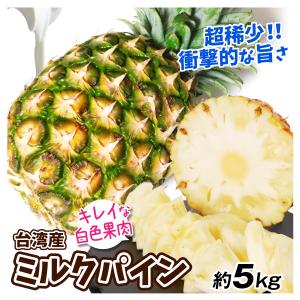 パイン 5kg ミルクパイン 台湾産 パイナップル 希少 送料無料 食品 国華園｜seikaokoku