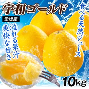 メロン 高知産 仁淀ブルー 2玉 奇跡の清流 仁淀川の伏流水が育んだ