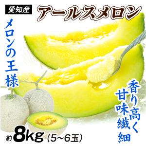 メロン 愛知産 アールスメロン 8kg 甘い 青肉メロン マスクメロン系 お