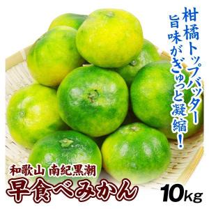 みかん 10kg 南紀黒潮早食べみかん 和歌山産 送料無料 食品