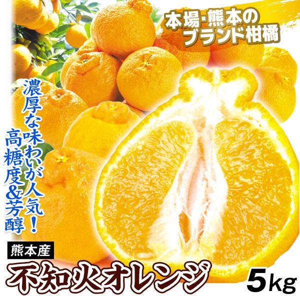 みかん 5kg 不知火オレンジ お買得 熊本産 不知火 オレンジ 柑橘 蜜柑 送料無料 食品