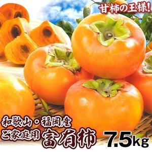 【限定特価】富有柿 7.5kg 和歌山産 福岡産...の商品画像
