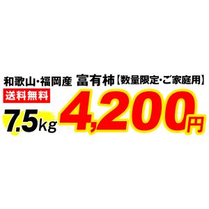 【限定特価】富有柿 7.5kg 和歌山産 福岡...の詳細画像2