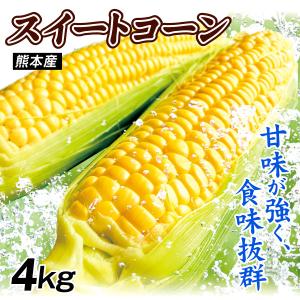 国華園 とうもろこし 約4kg スイートコーン 熊本産 冷蔵便 野菜 送料無料 食品