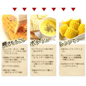 国華園 とうもろこし 約4kg スイートコーン...の詳細画像4