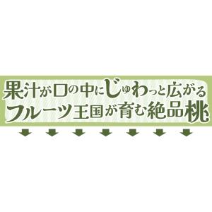 もも 約3.5kg 紀州の桃 和歌山産 送料無...の詳細画像2