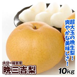 梨 10kg 晩三吉梨 大分・福島産 大玉 晩生 冬梨 送料無料 食品
