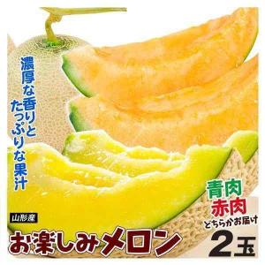 メロン 山形産 庄内お楽しみメロン 2玉（1玉約1.2〜1.5kg） 品種おまかせ 赤肉 青肉 送料無料 食品