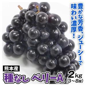 国華園 ぶどう 約600g（300g×2パック） ブラックビート 熊本産 葡萄