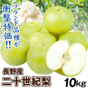 梨 10kg ご家庭用 二十世紀梨 長野産 送料無料 食品
