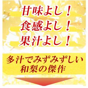 梨 10kg ご家庭用 二十世紀梨 長野産 送...の詳細画像2