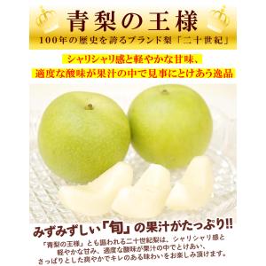 梨 10kg ご家庭用 二十世紀梨 長野産 送...の詳細画像3
