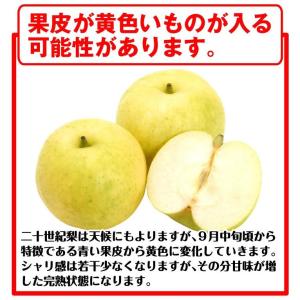 梨 10kg ご家庭用 二十世紀梨 長野産 送...の詳細画像4