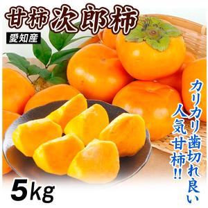 柿 約5kg 次郎柿 愛知産 甘柿 ご家庭用 人気品種 送料無料 食品