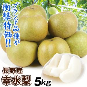 梨 5kg ご家庭用 幸水梨 長野産 送料無料 食品