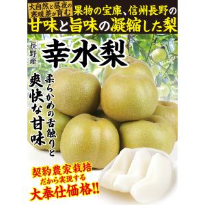 梨 5kg ご家庭用 幸水梨 長野産 送料無料 食品の詳細画像2