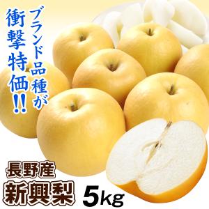梨 5kg 新興梨 長野産 ご家庭用 ナシ なし 赤梨 和梨 名産地 送料無料 食品 爆買