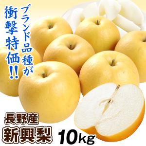 梨 10kg 新興梨 長野産 ご家庭用 ナシ なし 赤梨 和梨 名産地 送料無料 食品 爆買