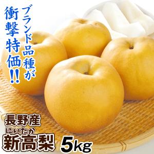 梨 5kg 新高梨 長野産 ご家庭用 ナシ なし 赤梨 和梨 名産地 送料無料 食品