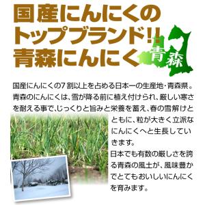 にんにく 500g 青森産 訳あり 送料無料 ...の詳細画像3