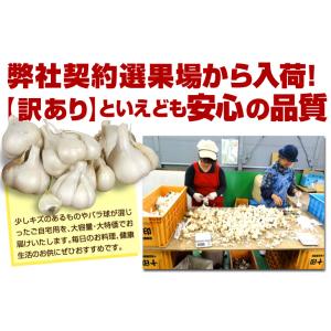 にんにく 500g 青森産 訳あり 送料無料 ...の詳細画像4