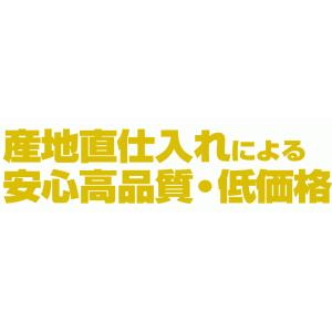 にんにく 500g 青森産 訳あり 送料無料 ...の詳細画像5