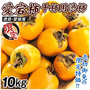 柿 10kg 愛宕柿【数量限定】干柿用渋柿 ご家庭用 徳島・愛媛産 送料無料 食品