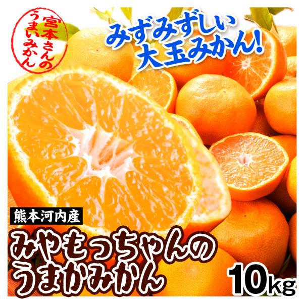 みかん 10kg みやもっちゃんのうまかみかん 熊本河内産 ご家庭用 熊本 温州みかん 大玉 数量限...