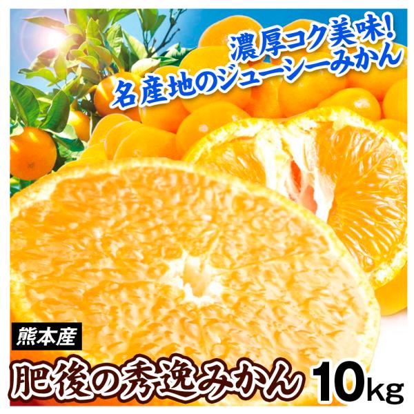 みかん 10kg 肥後の秀逸みかん 熊本産 温州 蜜柑 ご家庭用 柑橘 送料無料 食品 国華園