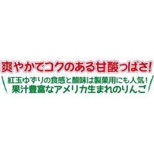 りんご 3kg サンジョナゴールド 青森産 ご...の詳細画像1