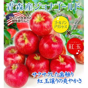 りんご 3kg サンジョナゴールド 青森産 ご...の詳細画像2