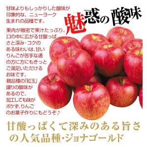 りんご 3kg サンジョナゴールド 青森産 ご...の詳細画像3