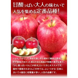 りんご 3kg サンジョナゴールド 青森産 ご...の詳細画像4